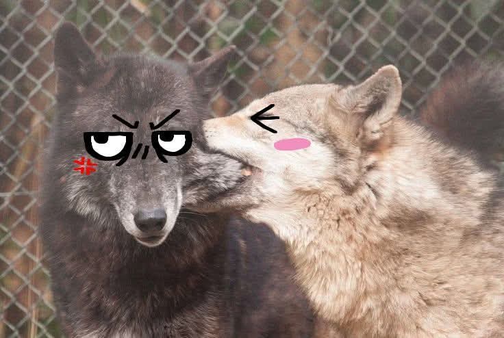 ⸸🜏𝕲𝖔𝖙𝖍 𝕻𝖆𝖕𝖎🜏⸸ 🇵🇷🌑🐺 DJ@TFF tweet media