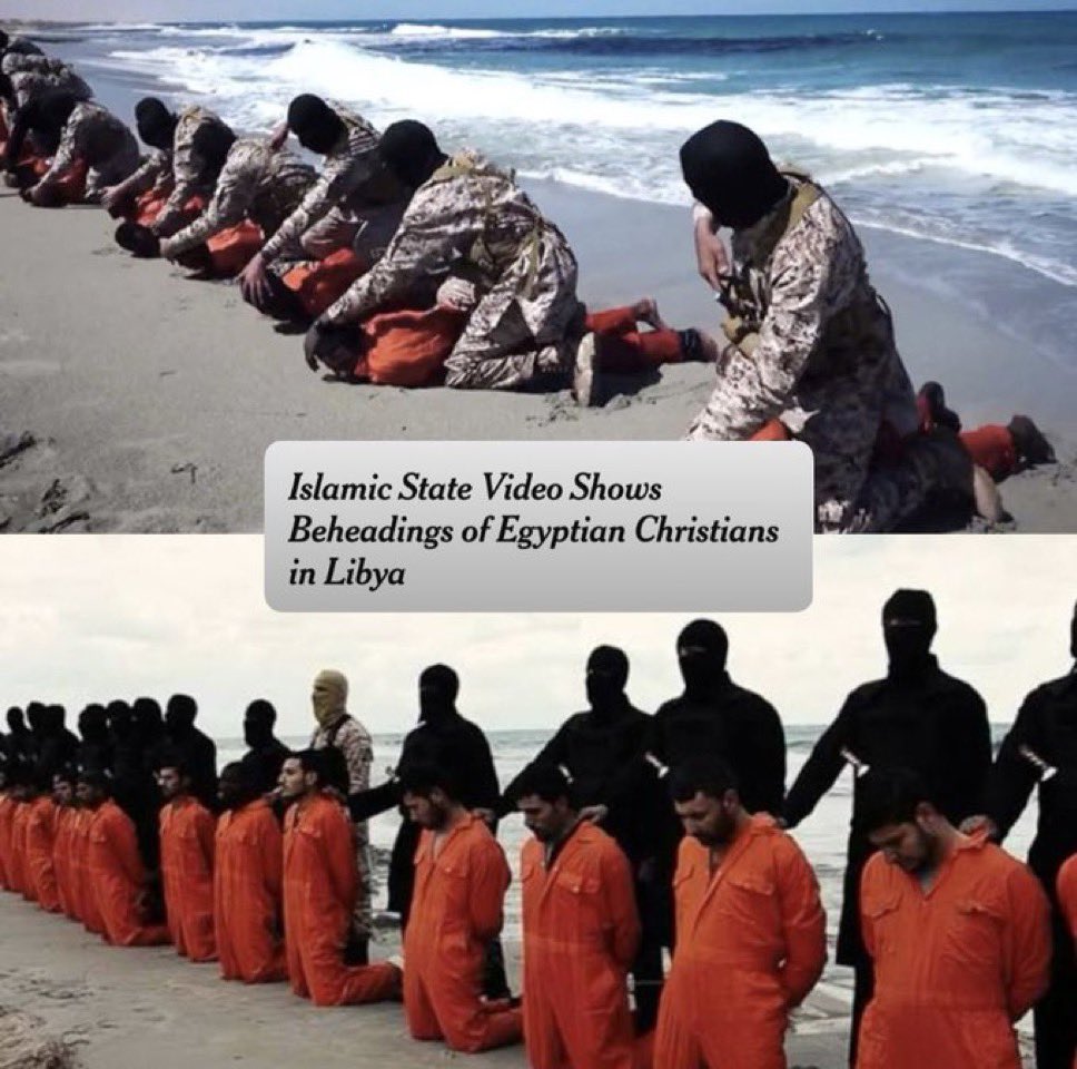 Gina Milan tweet media