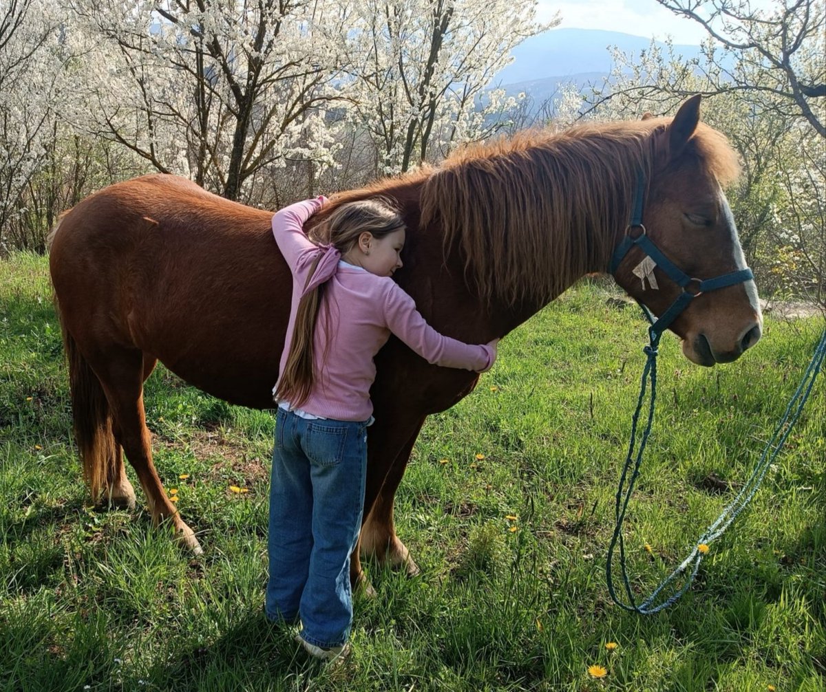 leoni4eva's tweet photo. @Enezator These are sweet and tender events. Two beauties in a spring garden. https://t.co/Dy6F95Z3R4