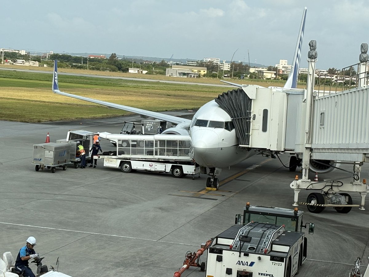 みあおい♪🐱🐈✈️*⋆✈︎ฅ^o̴̶̷̤ ࿁ o̴̶̷̤^ฅ tweet media