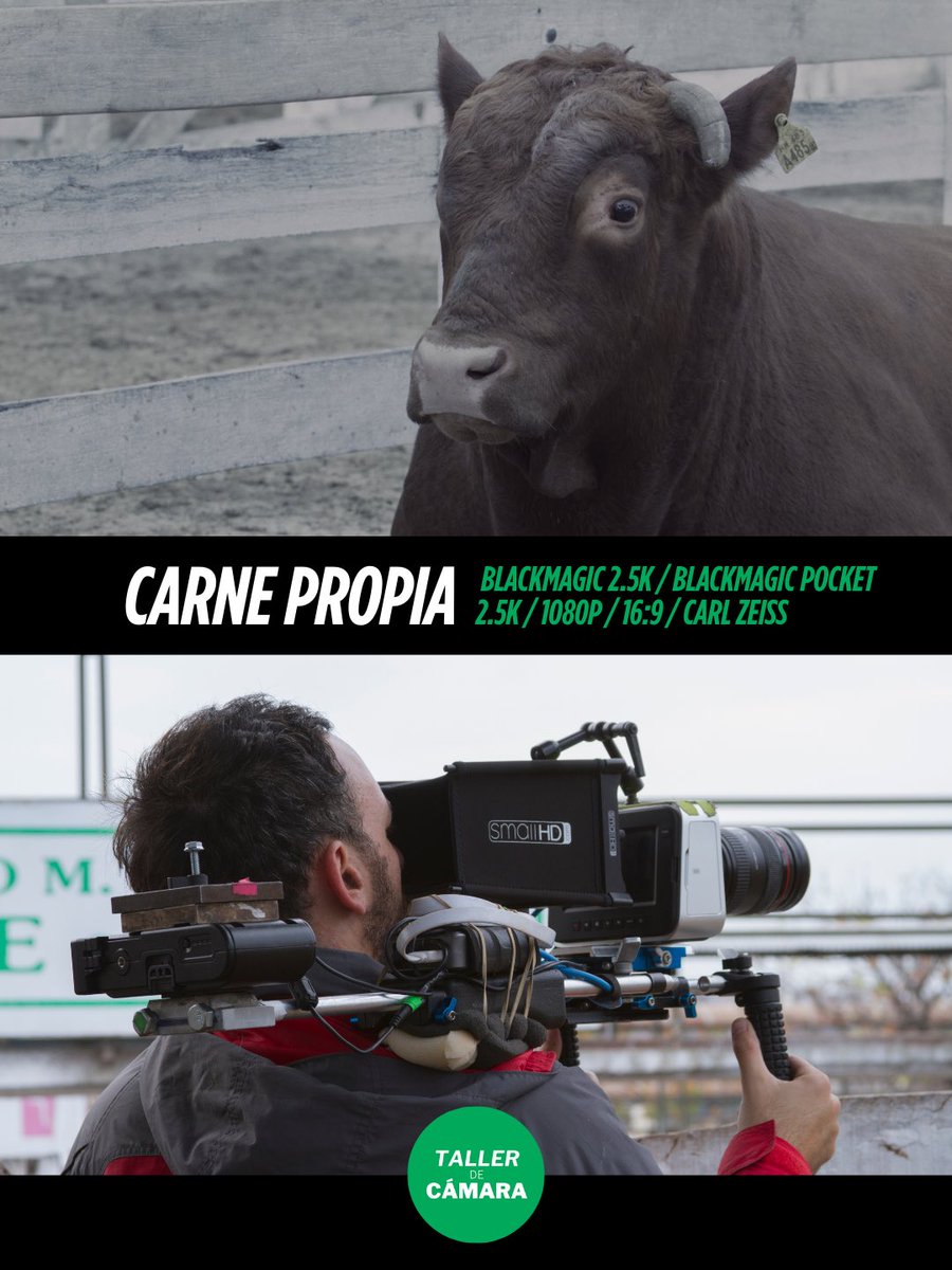 TallerdeCamara's tweet photo. 🎥 TALLER TÉCNICO DE CÁMARA (Online)
👨🏻‍🏫 Por @martinturnes (ADF) 
🤝 Avala @AdFcine 

🗓️ Martes de MAYO: 5, 12, 19 y 26 
⏰ 18:00 a 20:30 hs (Arg, GMT-3) 
💻 Se graban todas las clases por si faltas alguna!

⚠️ CUPOS LIMITADOS
📩 tallerdecamaracine@gmail.com https://t.co/1Fbn5MVKmZ