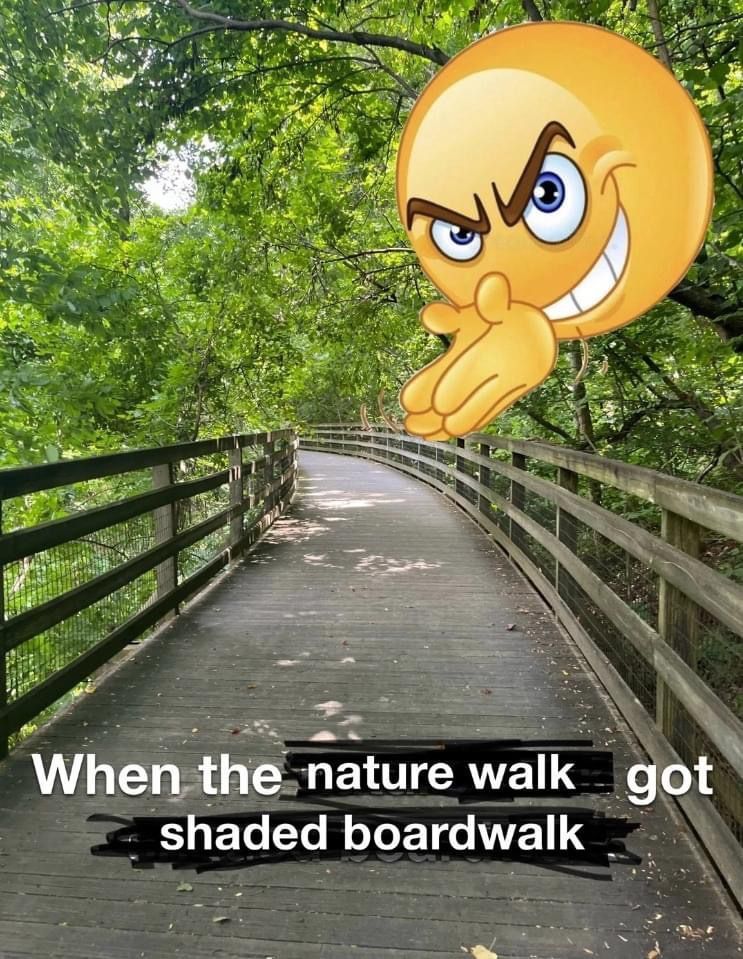 horse dentist tweet media