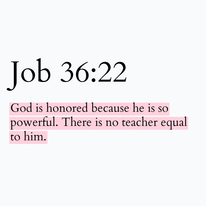 Holy Bible tweet media