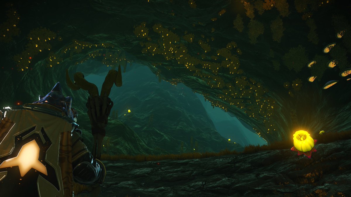 🌾🌾🔨🔨📢📢🚀🚀🤿🤿⋈ tweet media