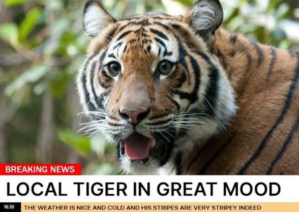 Jordan DeBry⚾️ tweet media