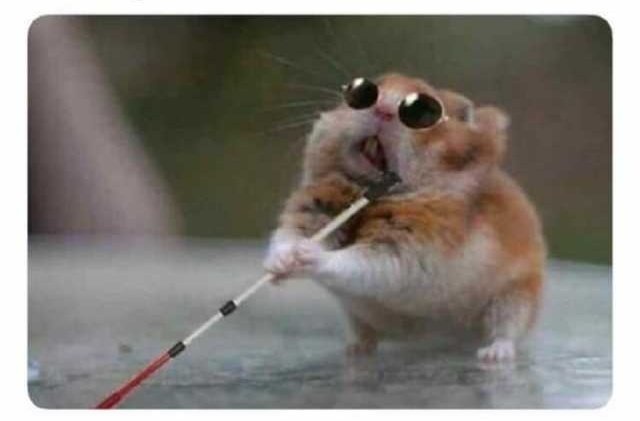 𝒩𝒾𝓃𝒶 ˚。⋆❆⋆。˚ 🏎 🏁 𝑁𝐽𝑍 𝑓𝑜𝑟 𝐺𝑖𝑟𝑙𝑧 tweet media