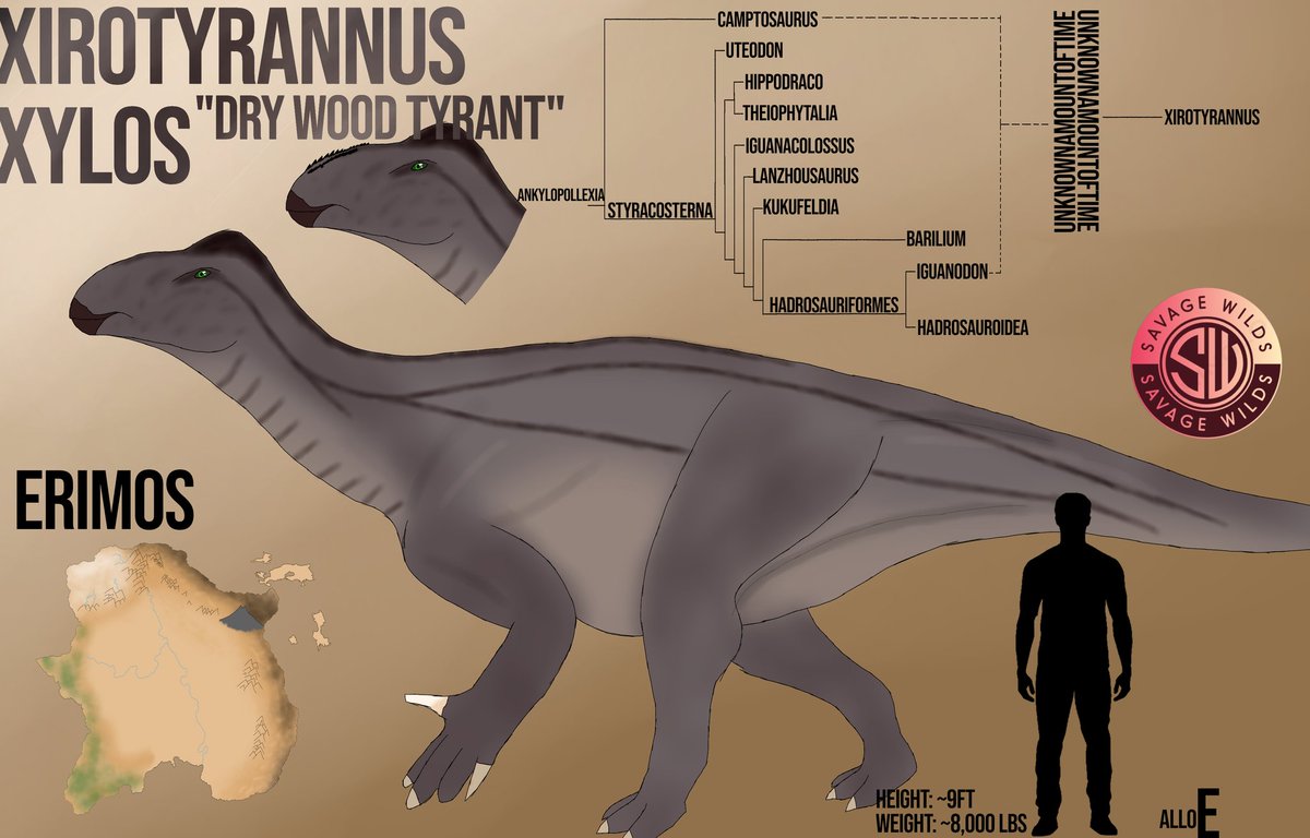 AlloEnthusiast tweet media