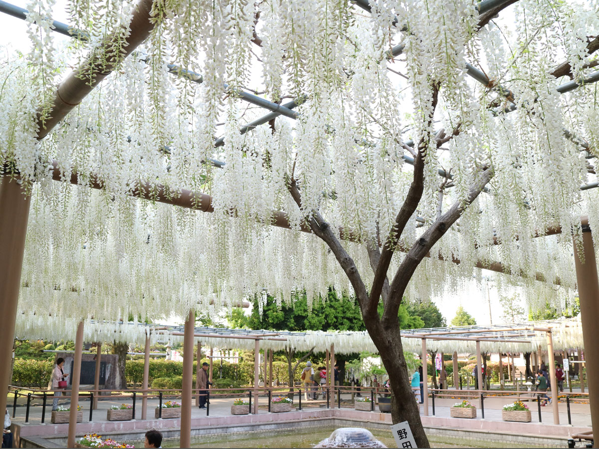 Aichi Now【愛知の観光情報】 tweet media