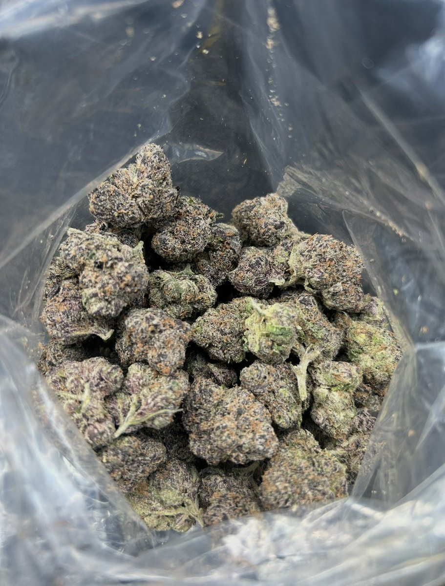 MilkyePrince's tweet photo. Who need some za ⛽️🍬💨 I’m mobile and I got some seals 🚀 hmu 📱https://t.co/BNACXRob7S

#Dallas #dallascowboys #satx #satxnsfw #dmvfreaks #pgfreaks #atl #atlza #chicagolinks #chicago #chimeets #chicagofreaks #latinos #illinois https://t.co/OjJTo1fcJu