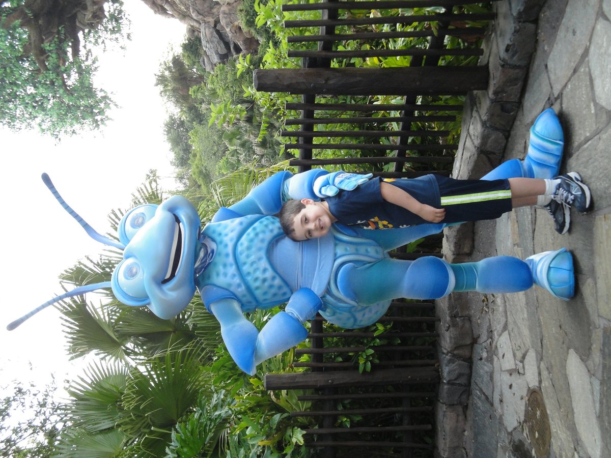 Big Beautiful Dis (@bbdisyt) on Twitter photo 