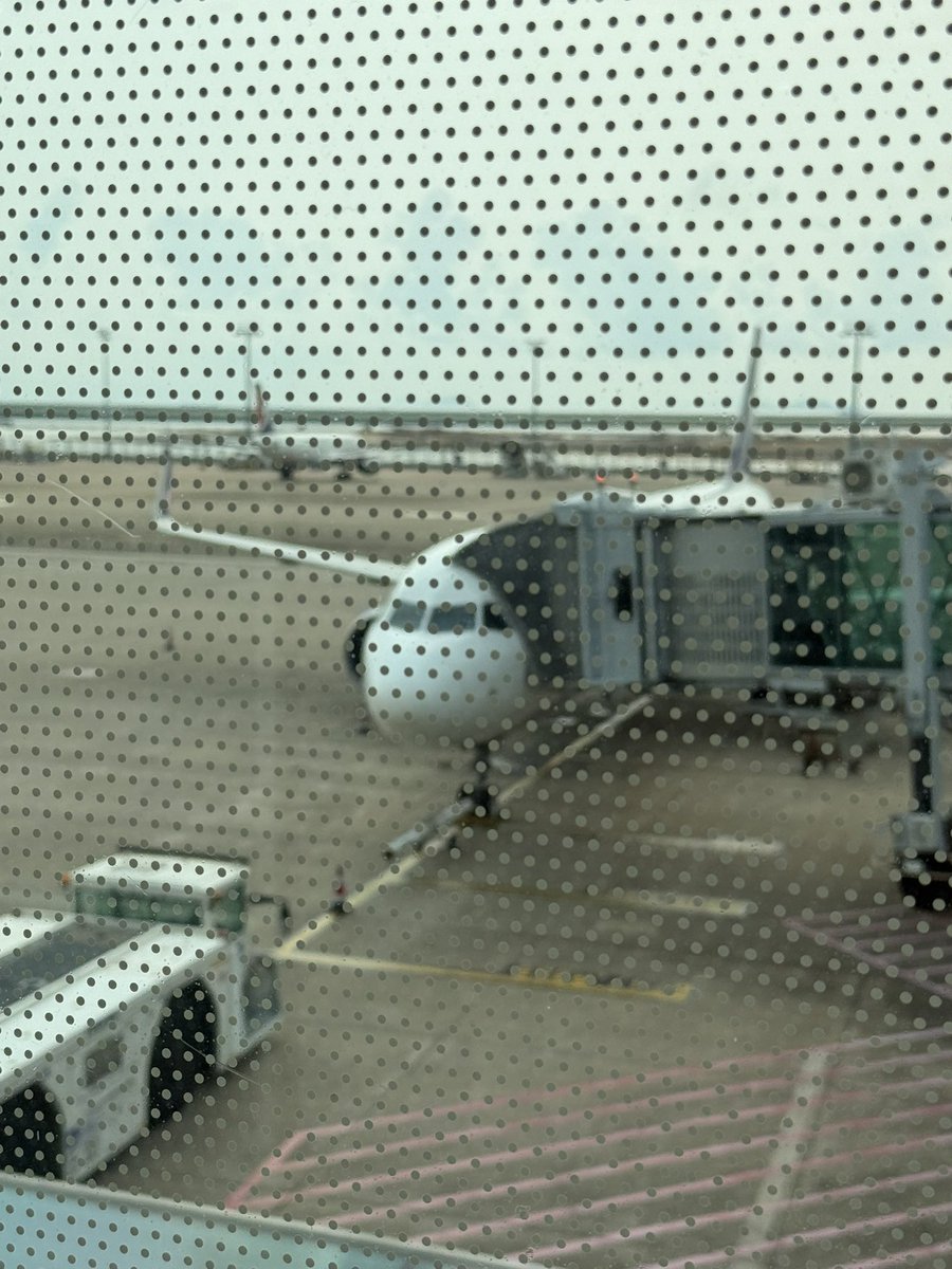 世田谷猫 tweet media