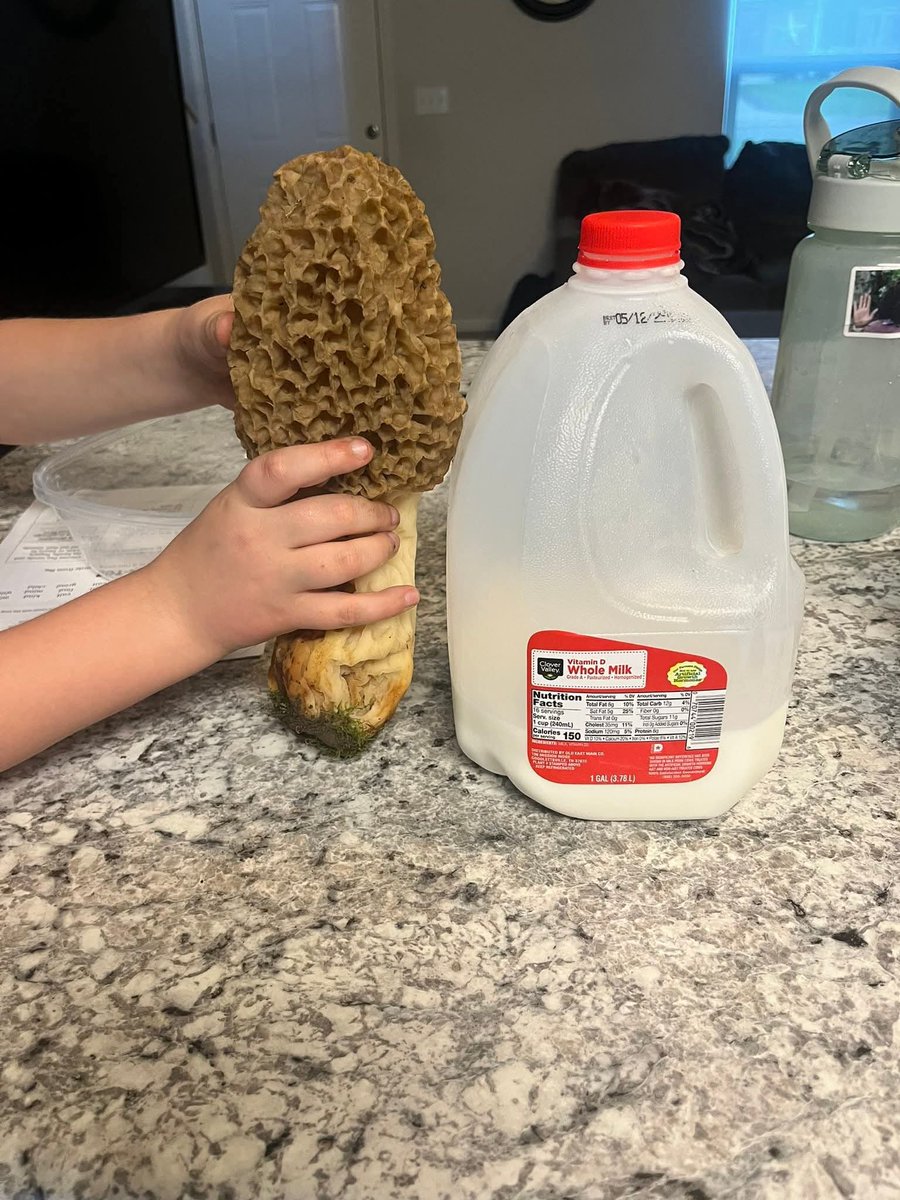 Johnny Cadillac tweet media