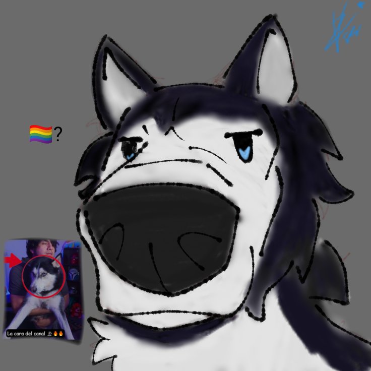 ForoxyStar⭐️ tweet media