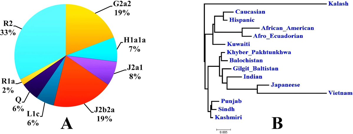 Aloysius tweet media