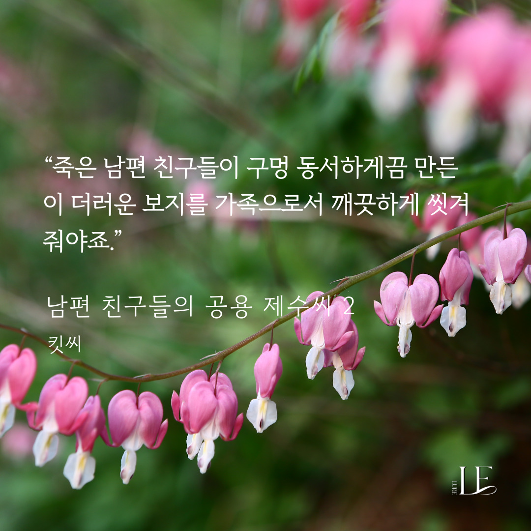 루어Lure tweet media