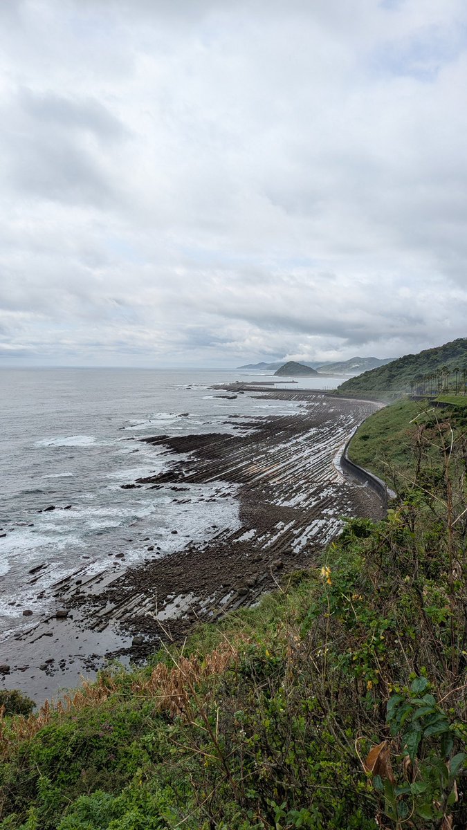 おなかたぷお tweet media