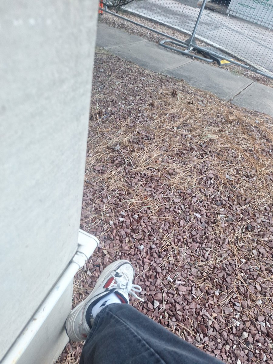 Jane 🐟 tweet media