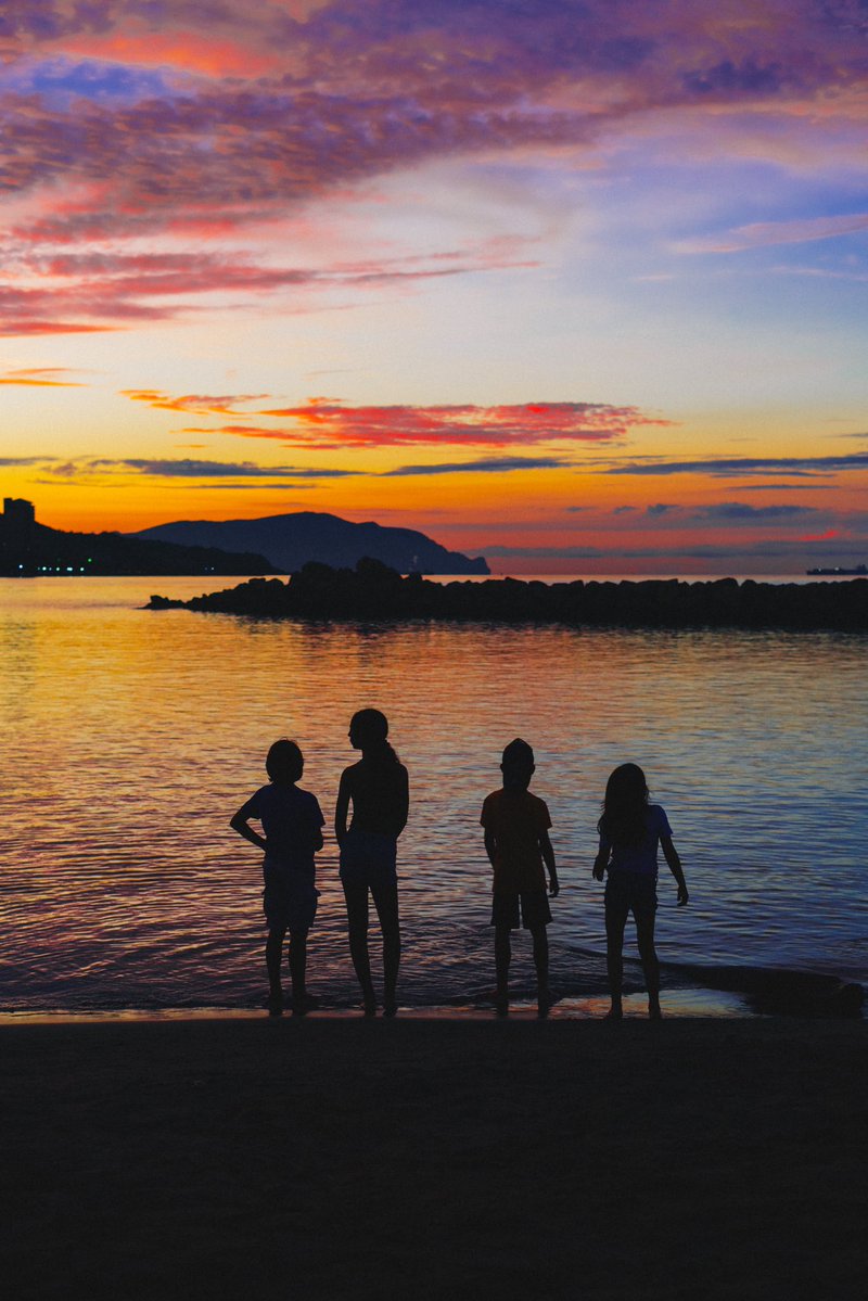 Williams Vivas tweet media