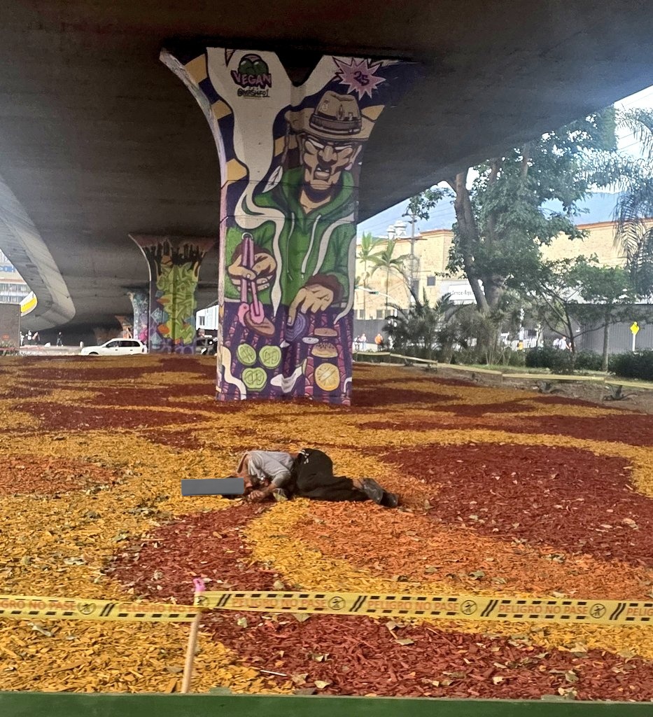 PipeMartinA tweet media