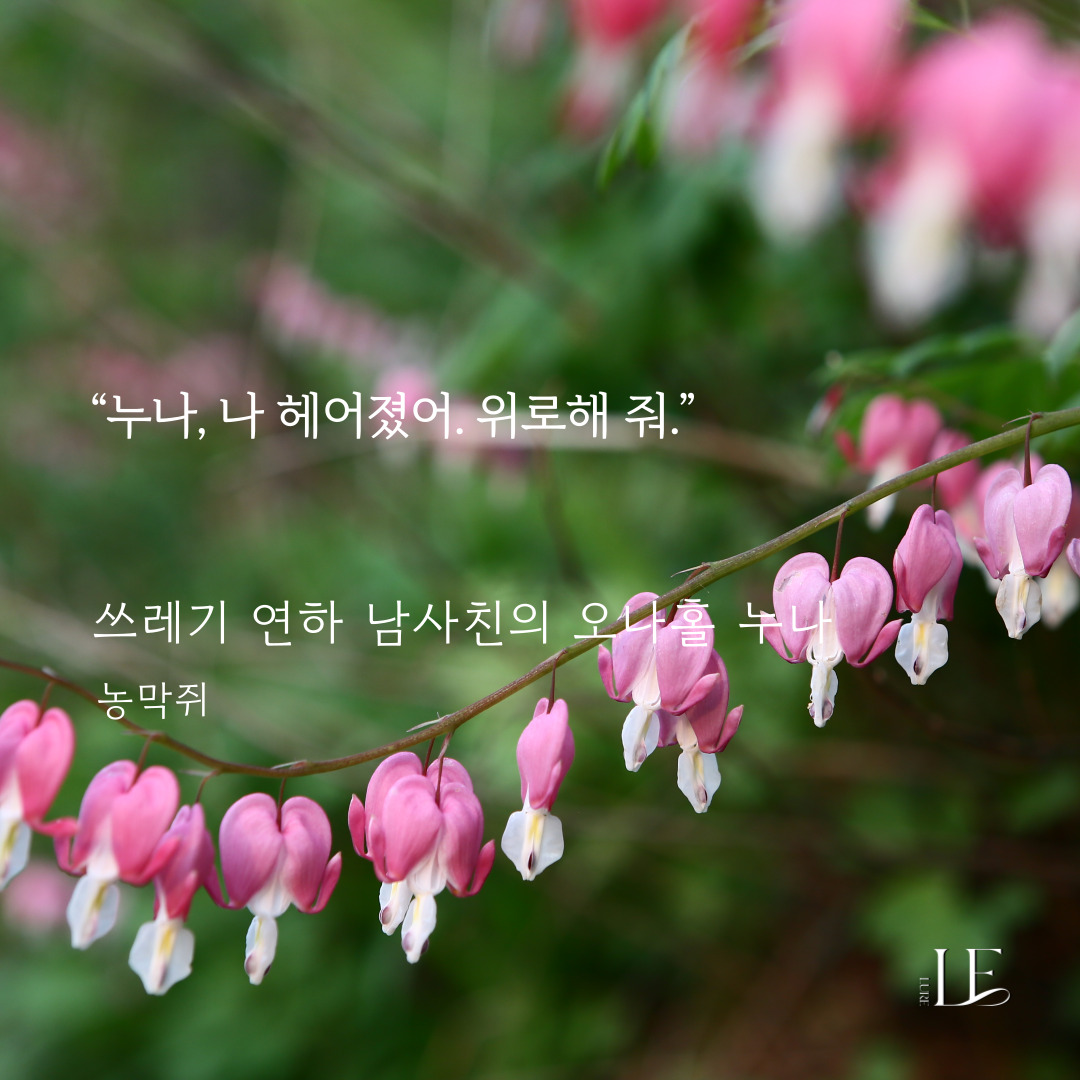 루어Lure tweet media