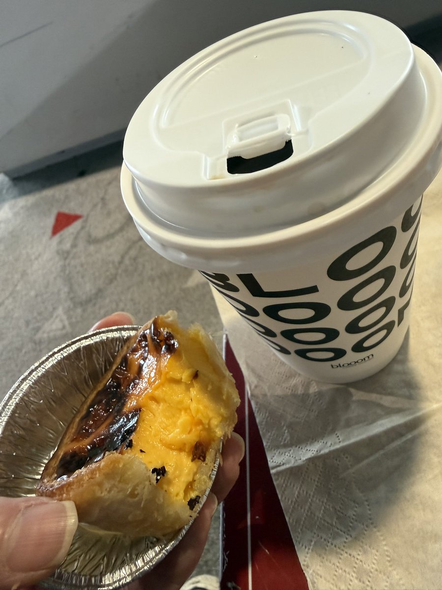 世田谷猫 tweet media