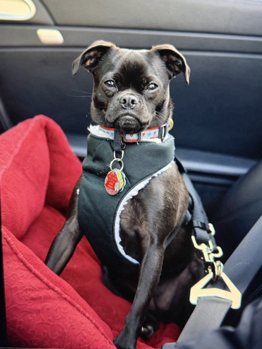 Eugene Hunt tweet media