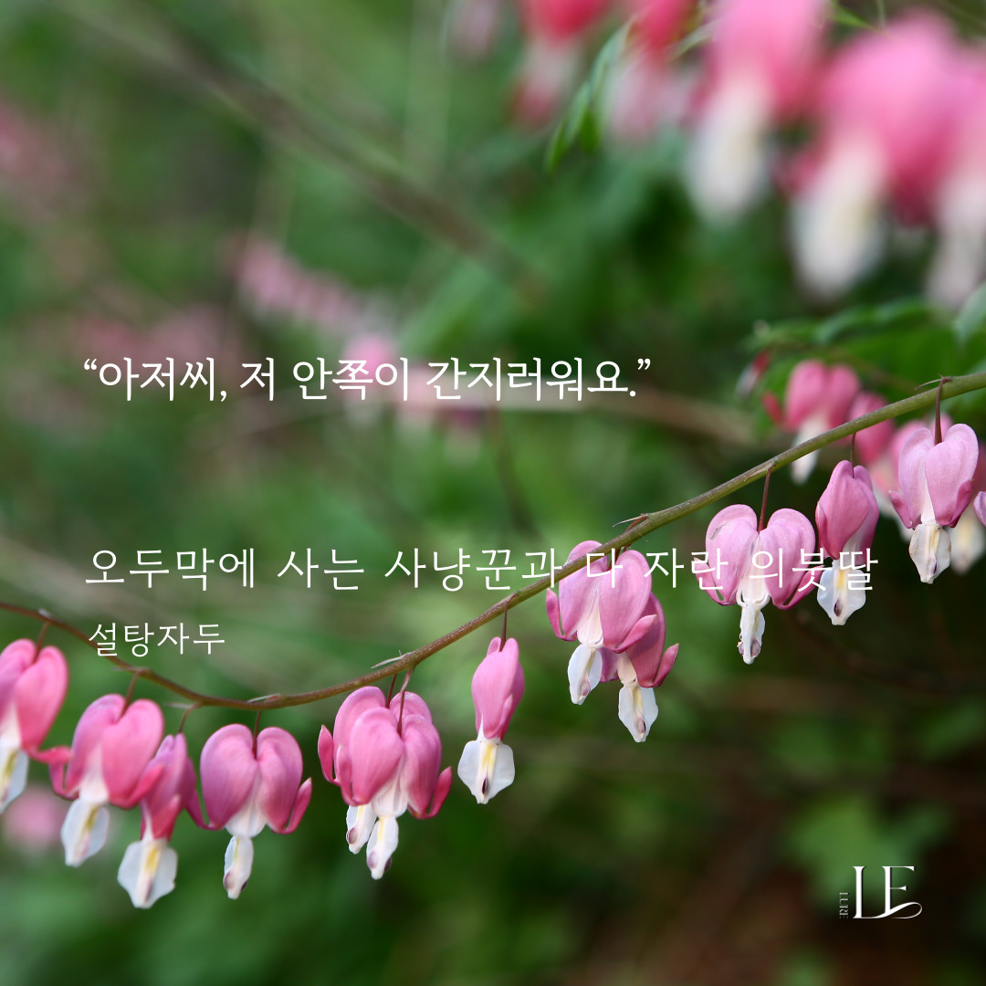루어Lure tweet media