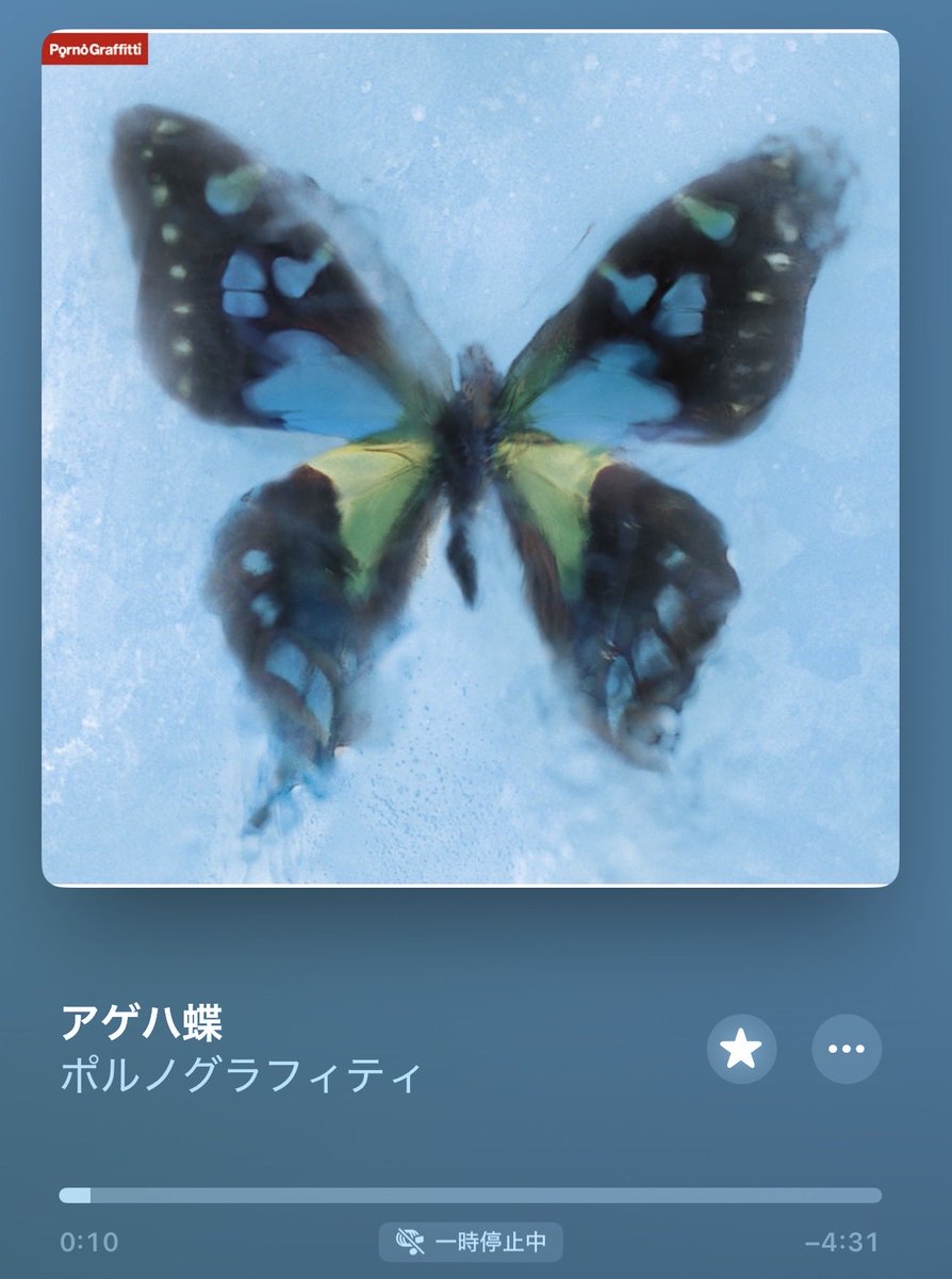 ひぃろぉ@朱乱隊 tweet media