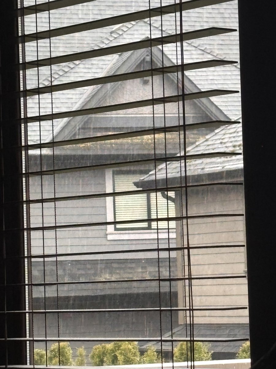 请独享我 tweet media