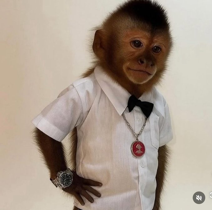 ∆rn⍥ld ϟchw∆rzΞnΞggr⎚ tweet media