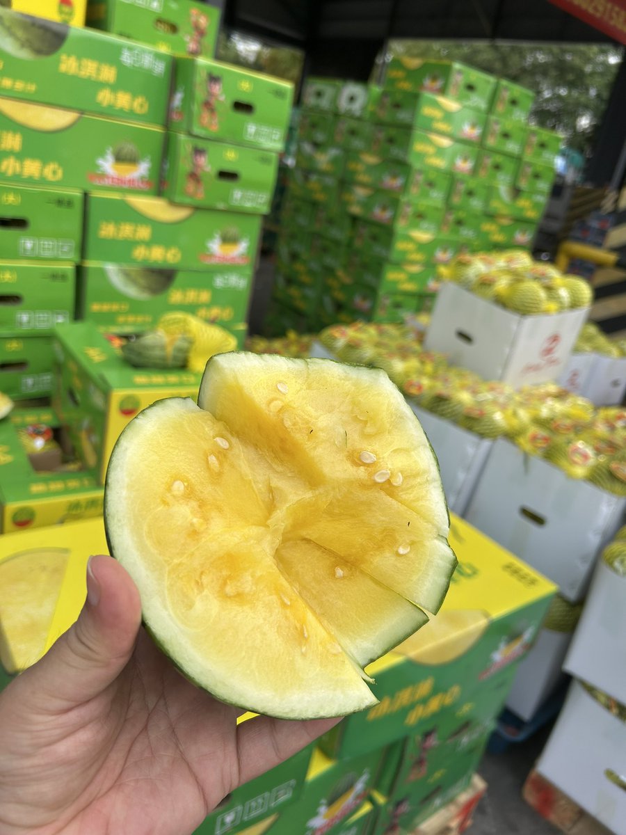 GZWatermelonLife🇨🇳 tweet media