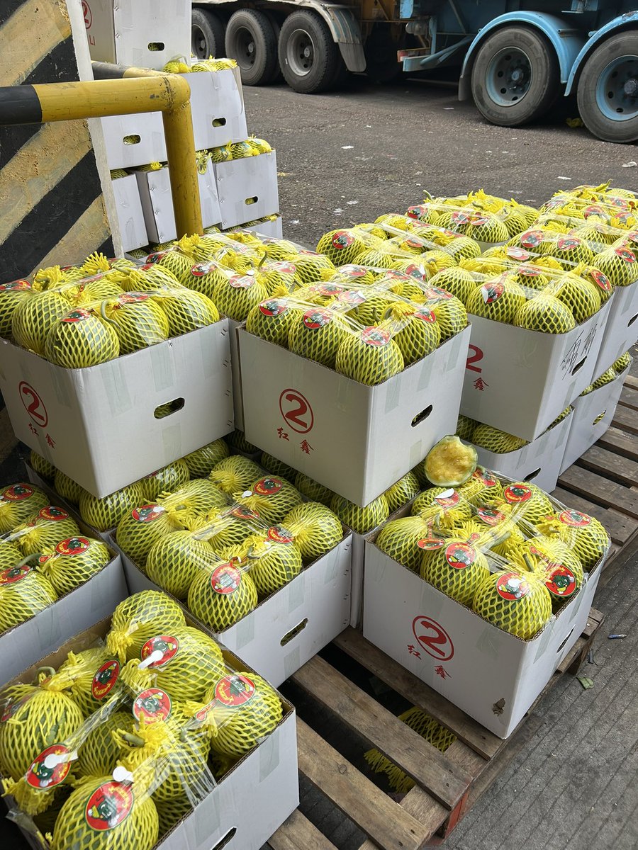 GZWatermelonLife🇨🇳 tweet media