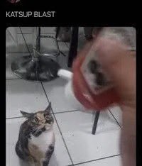 Elliott ✮ Shadow Milk’s lemon drop ✮ tweet media