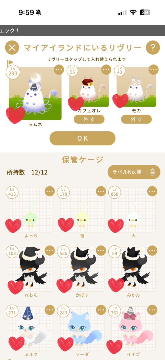 ポメ太郎♀ tweet media