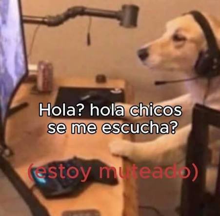 👩🏼‍🦰 tweet media