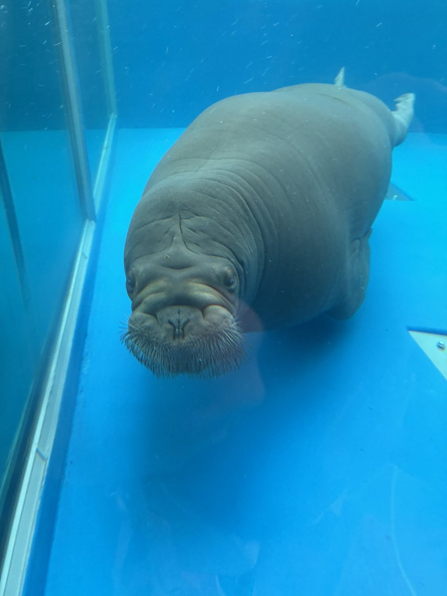 こん ピーチ💍🍑 tweet media