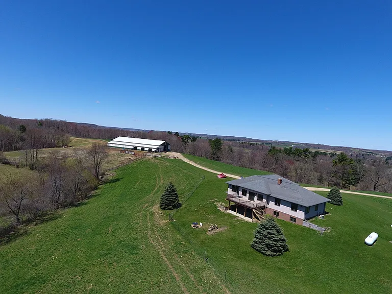 Nick Krasznavolgyi tweet media