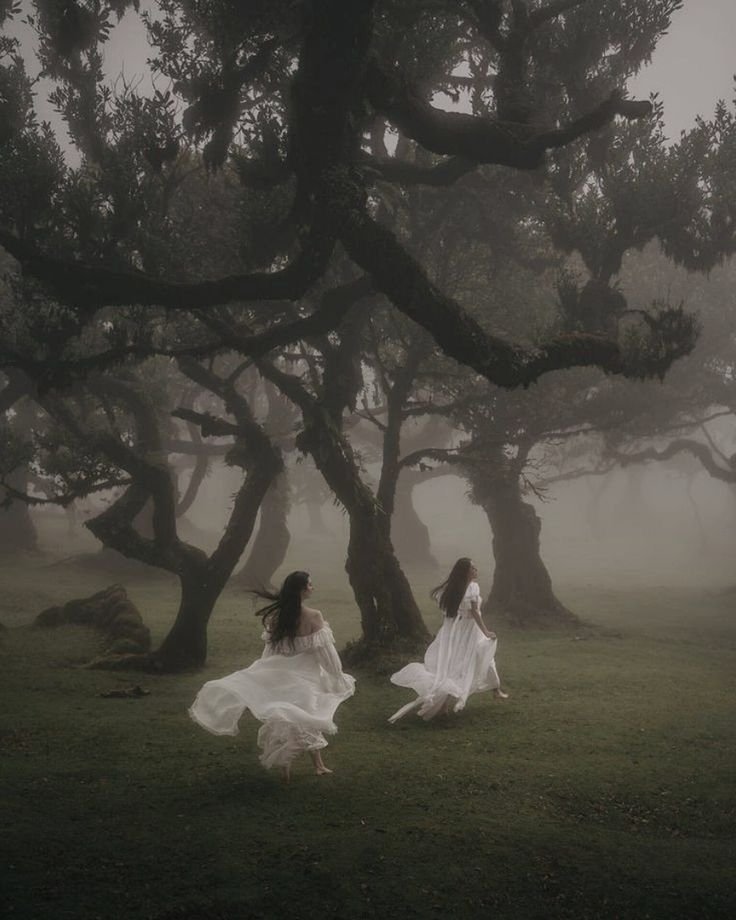 We were not made for the grind. 
We were made for long walks in enchanted forests, friendships and everyday magic.
Sign us up for that!