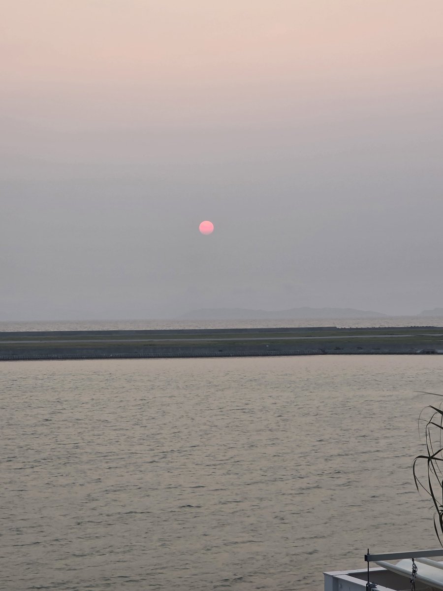 You rc 2 tweet media