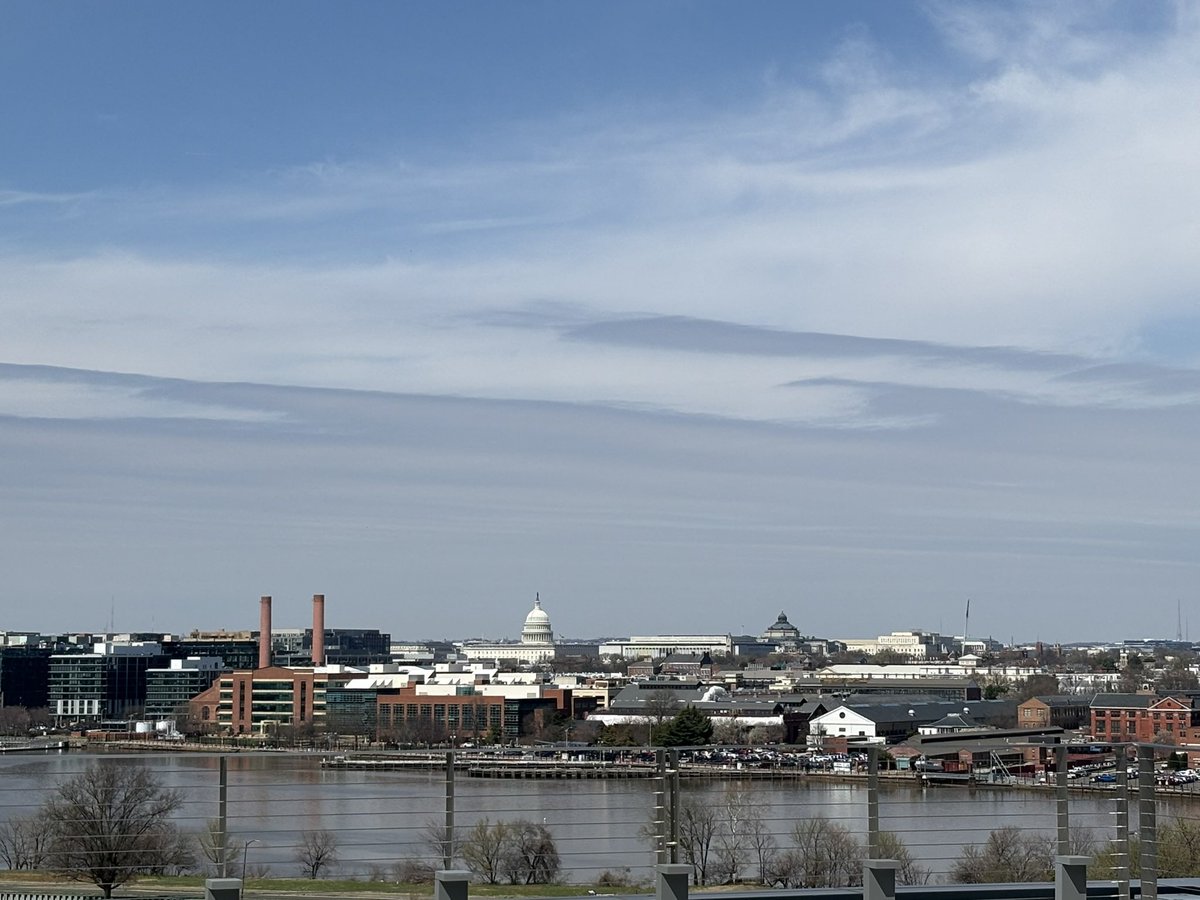 Lil CJ The Hog tweet media