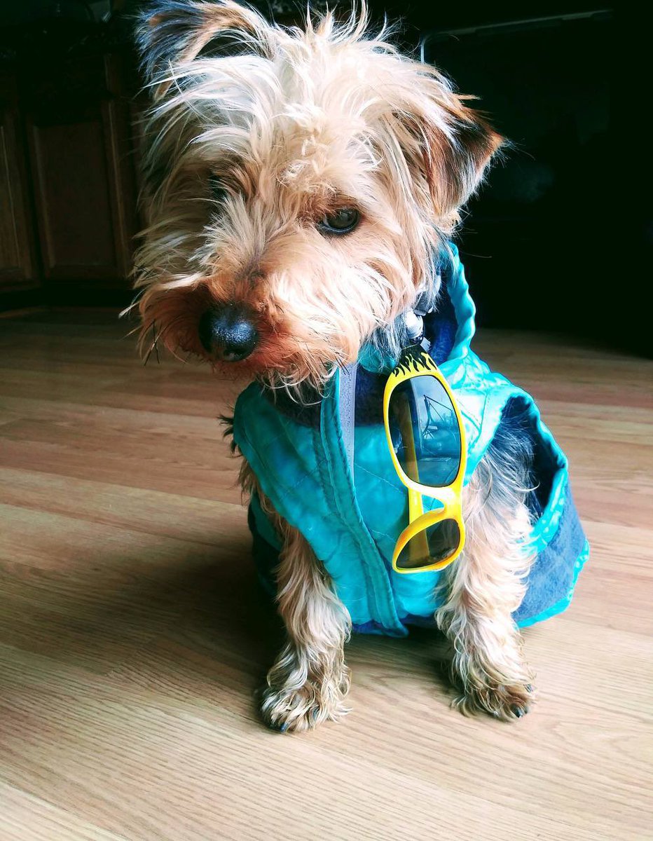 MJTruthUltra tweet media