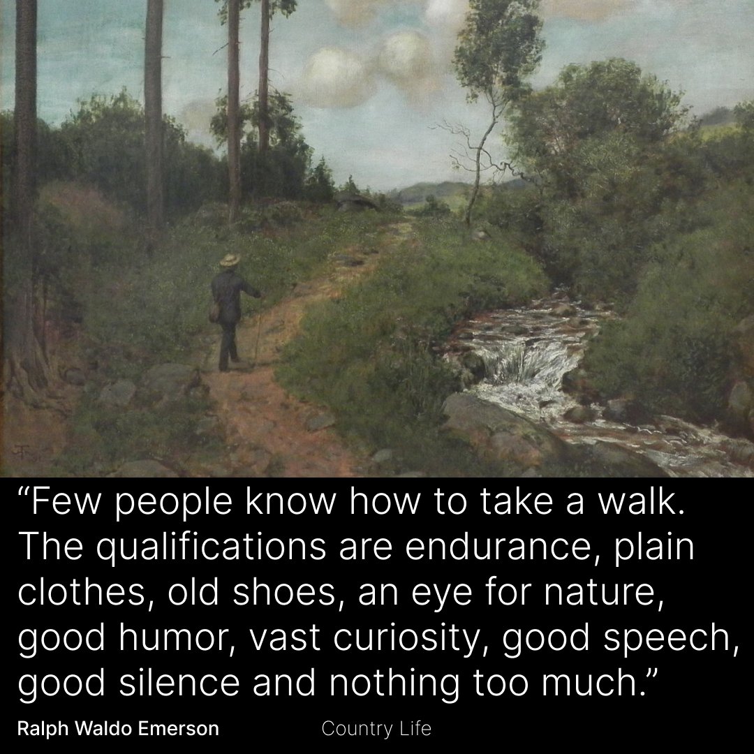 Academy of Ideas tweet media