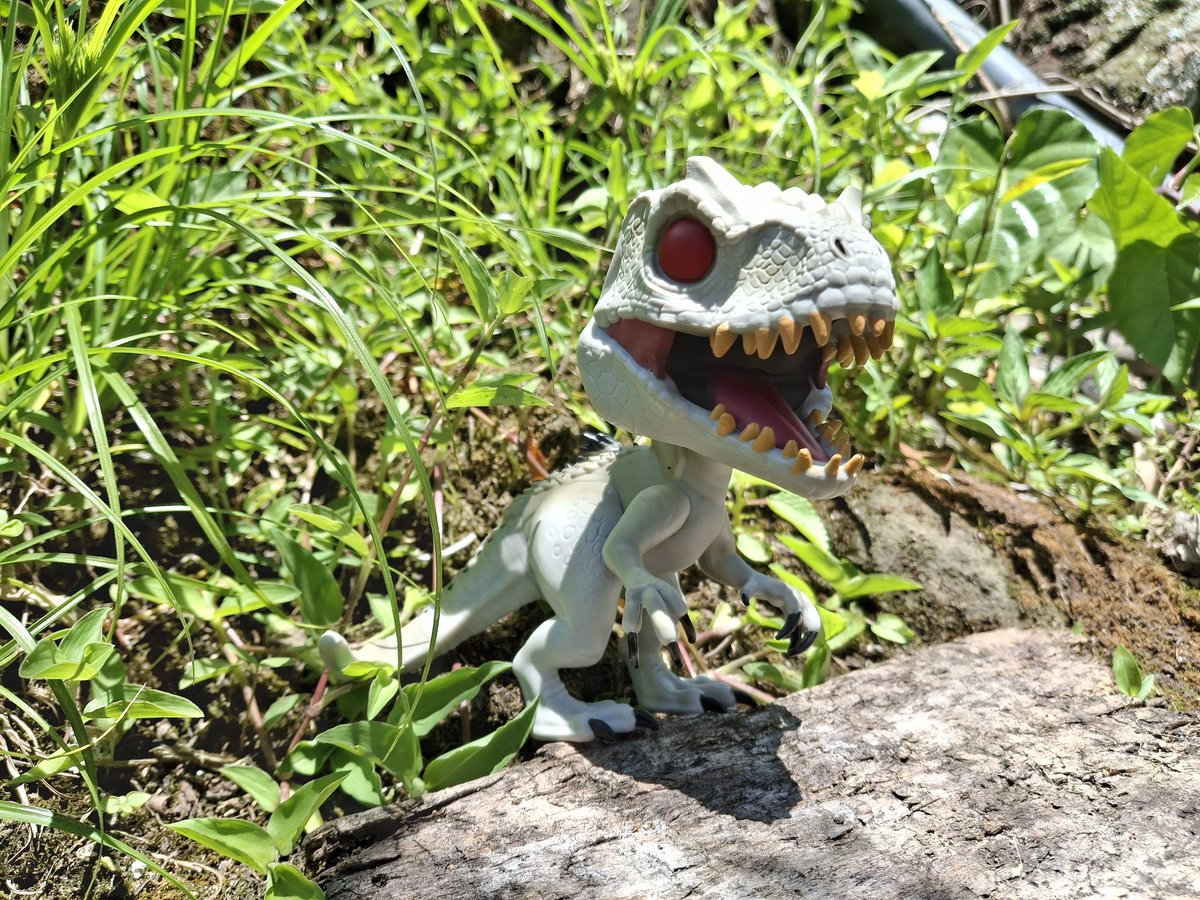 Sergioo506's tweet image. #IndominusRex

#JurassicWorld #Pop! #PopMovies #PopGames @OriginalFunko @JurassicWorld