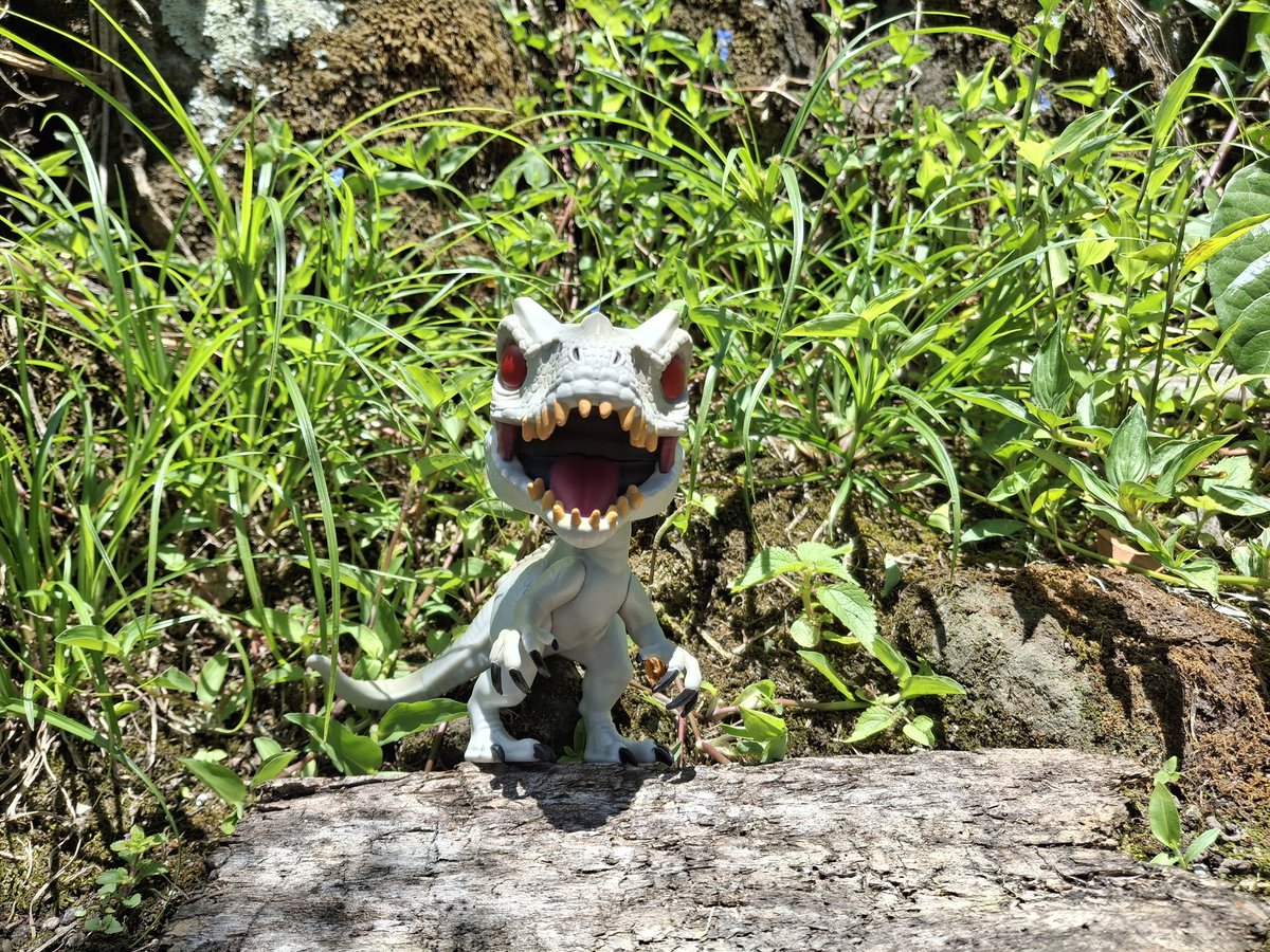 Sergioo506's tweet image. #IndominusRex

#JurassicWorld #Pop! #PopMovies #PopGames @OriginalFunko @JurassicWorld