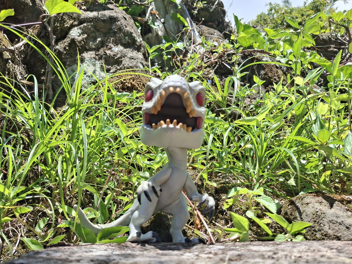Sergioo506's tweet image. #IndominusRex

#JurassicWorld #Pop! #PopMovies #PopGames @OriginalFunko @JurassicWorld