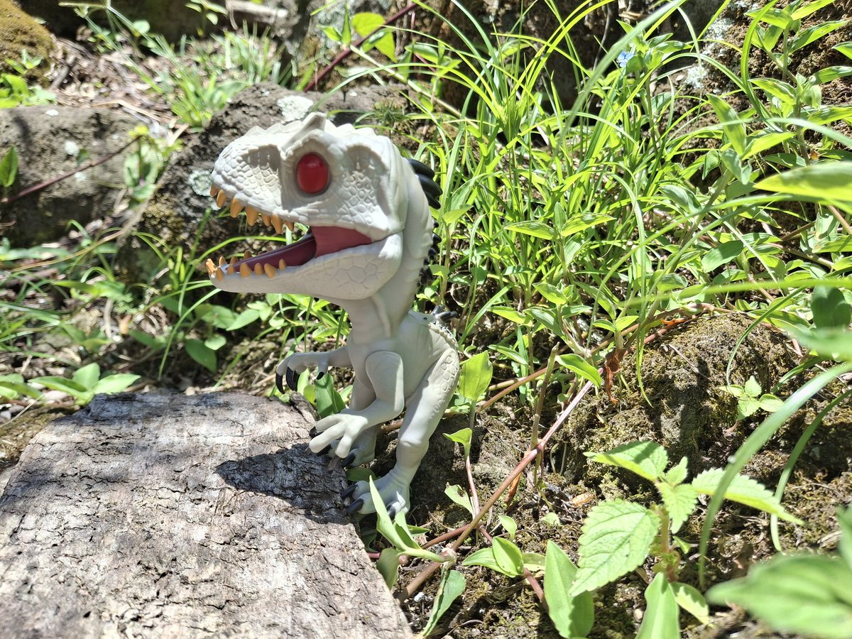 Sergioo506's tweet image. #IndominusRex

#JurassicWorld #Pop! #PopMovies #PopGames @OriginalFunko @JurassicWorld