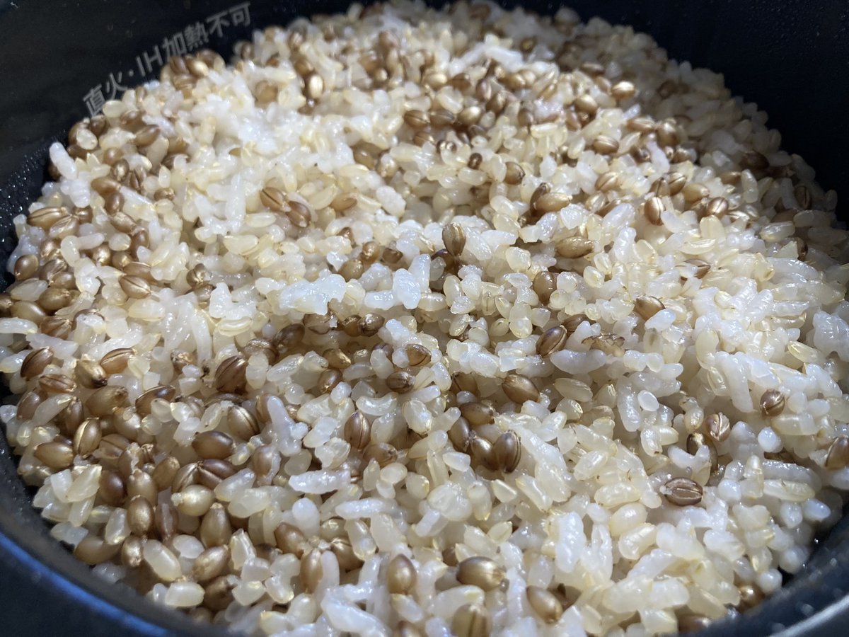 dokunukin's tweet photo. 最近のご飯は『白米1.5：玄米1.4：もち麦0.1』にしてますが、これが旨い。

これを主として食べてるだけで、多少たまに変な物を食べても太りもせず、体調も崩しません。

主食は大事。
#四毒抜き
#玄米
#もち麦 https://t.co/Tw0zmxPPQe
