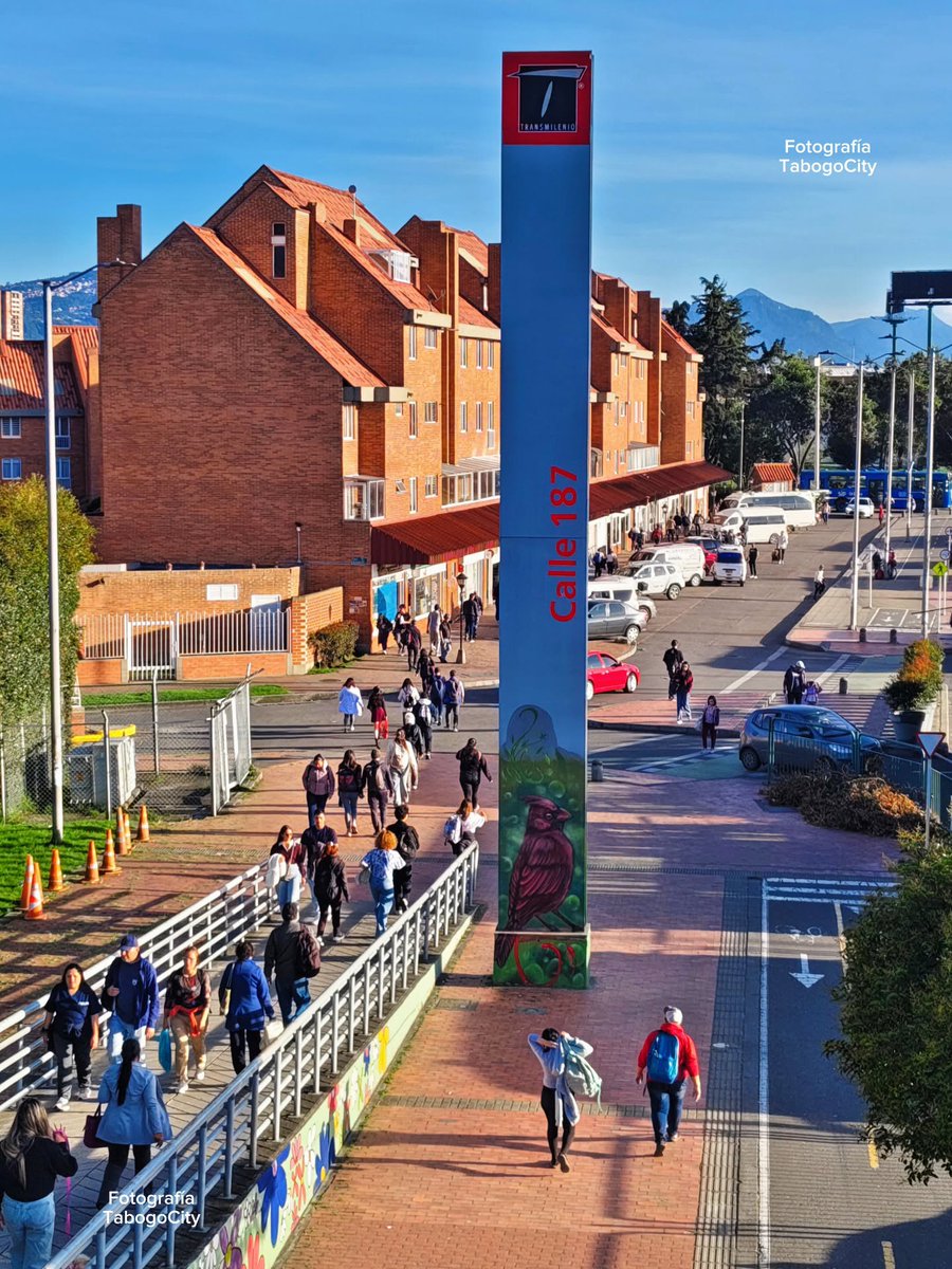 PipeMartinA tweet media