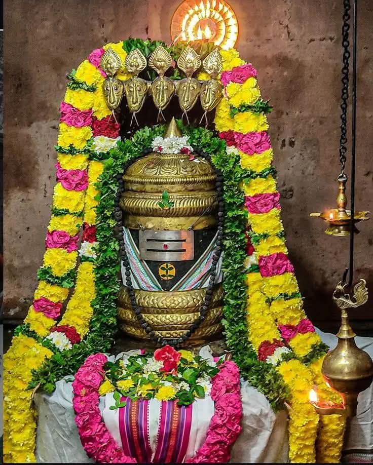 🪷 MЄЄƝƛ ƖƳЄƦ 🪷 tweet media