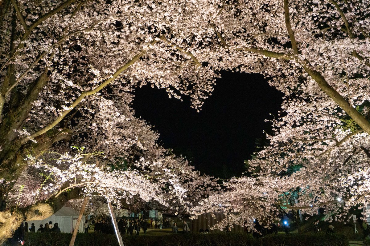 弘前公園 tweet media